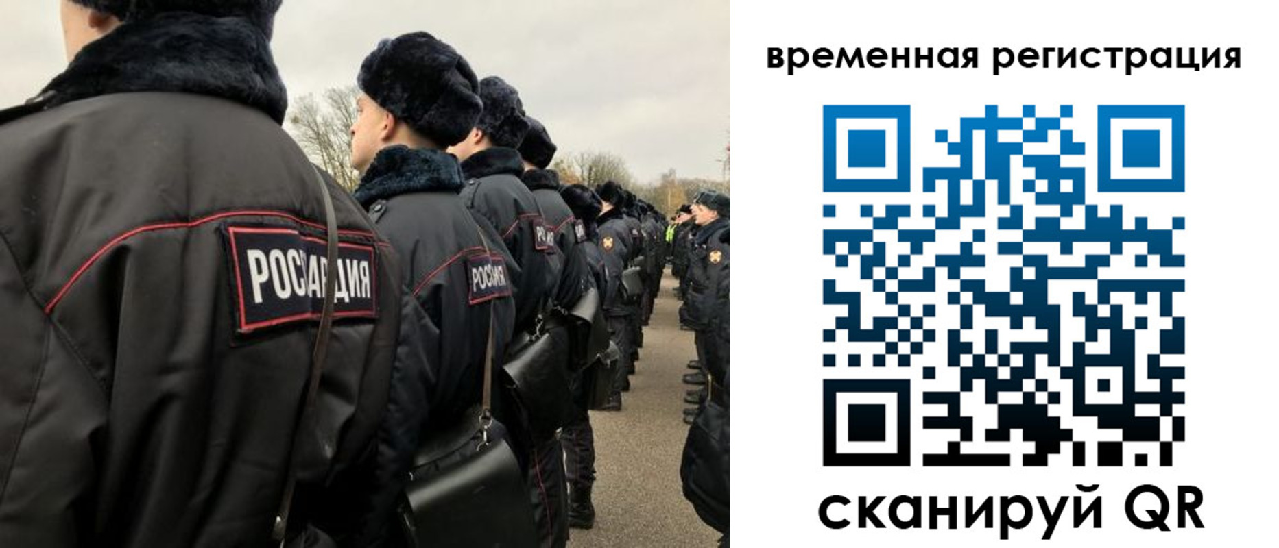 прописка гарантия в Кимовске